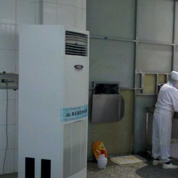 长沙食品正负离子空气杀菌器